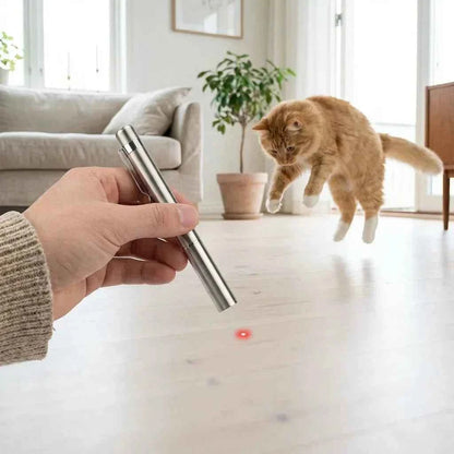 SolPaws 3-in-1 Rechargeable Stainless Steel Pet Laser Toy & LED Flashlight