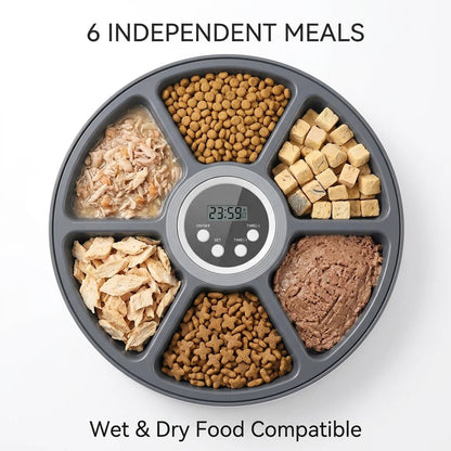 SolPaws™ 6 - Meal Automatic Pet Feeder - 24H Smart Timer & Portion Control - SolPaws C2h1