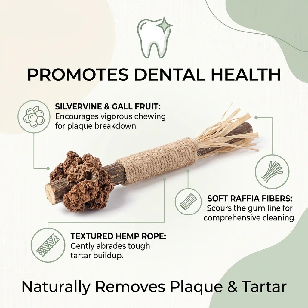 SolPaws™ Natural Silvervine Molar Stick - Premium Dental Care & Stress Relief Toy for Cats - SolPaws C2h1