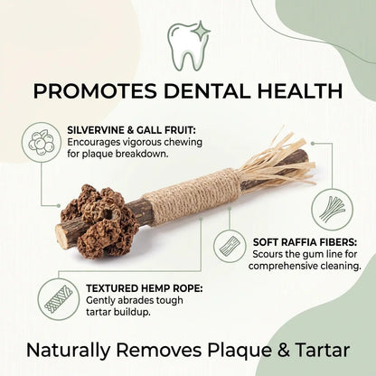 SolPaws™ Natural Silvervine Molar Stick - Premium Dental Care & Stress Relief Toy for Cats - SolPaws C2h1