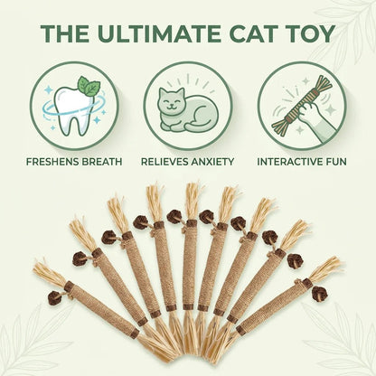 SolPaws™ Natural Silvervine Molar Stick - Premium Dental Care & Stress Relief Toy for Cats - SolPaws C2h1