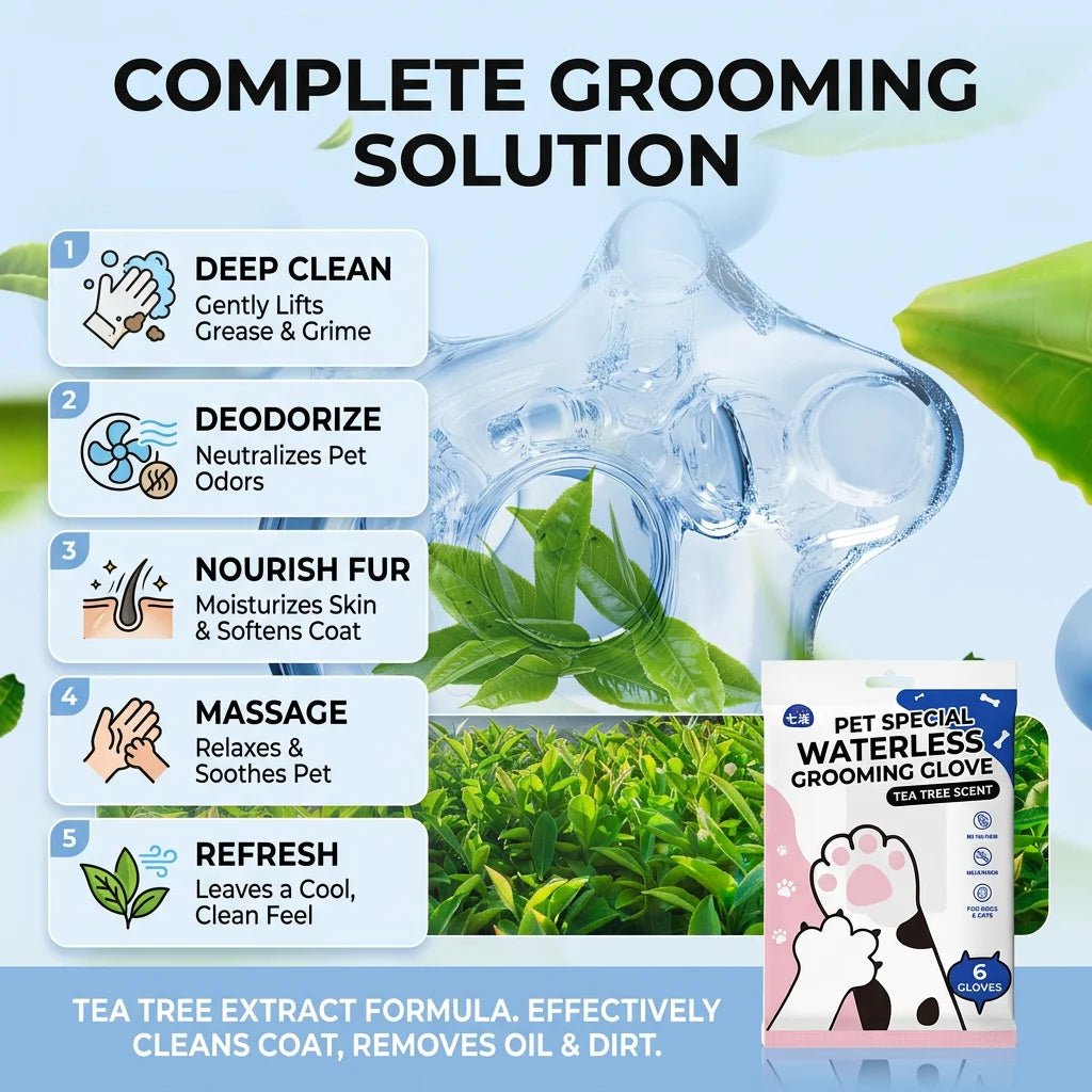 SolPaws™ Rinseless Grooming & Deodorizing Gloves - Tea Scented Quick - Clean Spa Gloves - SolPaws C2h1