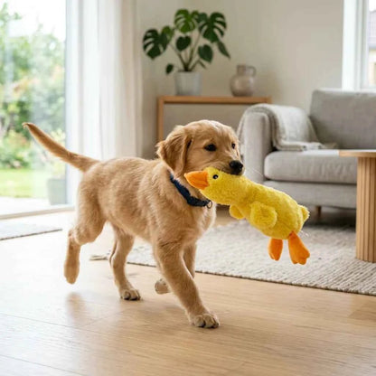 SolPaws Squeaky Plush Duck Pet Toy - Durable & Teeth Grinding - SolPaws C2h1