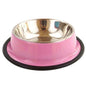 SolPaws™ Stainless Steel Pet Bowl - Premium Non - Slip & Durable Feeding Solution - SolPaws C2h1