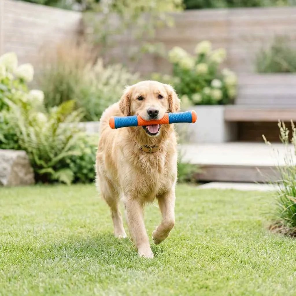 SolPaws Ultra Fetch Stick - 12 - inch Interactive Outdoor Dog Toy - SolPaws C2h1