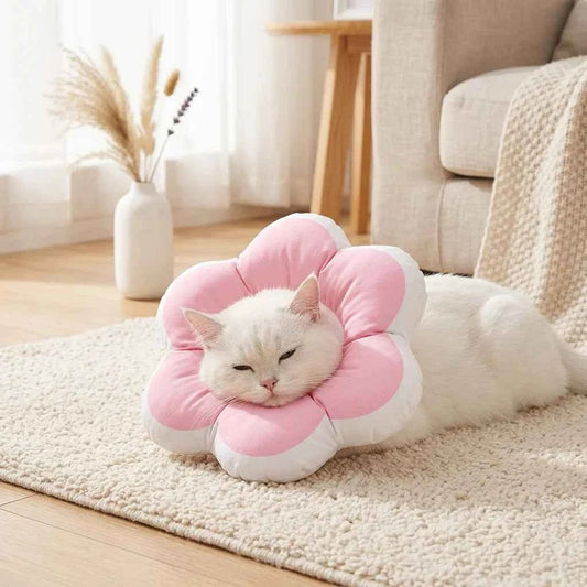 Waterproof Recovery Collar for Pets - Soft Adjustable Elizabethan Cone for Cats & Small Dogs - Stress - Free Healing & Comfort Pillow - SolPaws C2h1